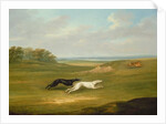 Running, a Coursing Scene, 1816 by John Nost Sartorius