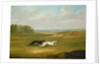 Running, a Coursing Scene, 1816 by John Nost Sartorius