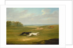 Running, a Coursing Scene, 1816 by John Nost Sartorius