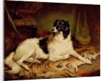 Minna, a favourite dog of James, Marquess of Dalhousie, 1857 by Gourlay Steel