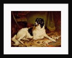 Minna, a favourite dog of James, Marquess of Dalhousie, 1857 by Gourlay Steel