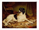 Minna, a favourite dog of James, Marquess of Dalhousie, 1857 by Gourlay Steel