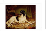 Minna, a favourite dog of James, Marquess of Dalhousie, 1857 by Gourlay Steel