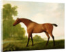 A Bay Thoroughbred in a Landscape, 1801 by George Stubbs