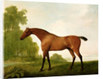 A Bay Thoroughbred in a Landscape, 1801 by George Stubbs