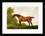 A Bay Thoroughbred in a Landscape, 1801 by George Stubbs