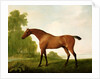 A Bay Thoroughbred in a Landscape, 1801 by George Stubbs
