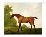 A Bay Thoroughbred in a Landscape, 1801 by George Stubbs