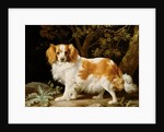 A Liver and White King Charles Spaniel in a Wooded Landscape, 1776 by George Stubbs
