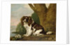 Fanny, a brown and white spaniel, 1778 by George Stubbs