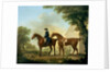 Mr. Crewe's Hunters with a Groom near a Wooden Barn by George Stubbs