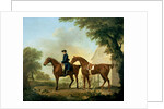 Mr. Crewe's Hunters with a Groom near a Wooden Barn by George Stubbs