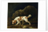 A Spaniel by George Stubbs