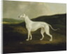 A Greyhound in a Landscape, 1817 by Charles Henry Schwanfelder