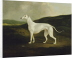 A Greyhound in a Landscape, 1817 by Charles Henry Schwanfelder
