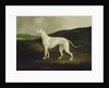 A Greyhound in a Landscape, 1817 by Charles Henry Schwanfelder