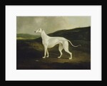 A Greyhound in a Landscape, 1817 by Charles Henry Schwanfelder