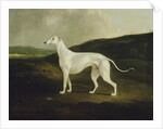 A Greyhound in a Landscape, 1817 by Charles Henry Schwanfelder