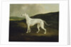 A Greyhound in a Landscape, 1817 by Charles Henry Schwanfelder