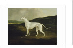 A Greyhound in a Landscape, 1817 by Charles Henry Schwanfelder