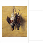 Brace of English Partridge, 1808 by J. Francis Sartorius