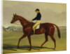 Preserve with Flatman Up at Newmarket, 1835 by John Frederick Herring Jnr