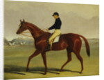 Preserve with Flatman Up at Newmarket, 1835 by John Frederick Herring Jnr