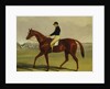 Preserve with Flatman Up at Newmarket, 1835 by John Frederick Herring Jnr