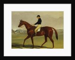 Preserve with Flatman Up at Newmarket, 1835 by John Frederick Herring Jnr