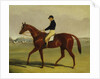Preserve with Flatman Up at Newmarket, 1835 by John Frederick Herring Jnr
