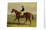 Preserve with Flatman Up at Newmarket, 1835 by John Frederick Herring Jnr