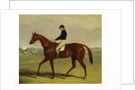 Preserve with Flatman Up at Newmarket, 1835 by John Frederick Herring Jnr
