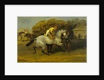 Jockey Mounting by Samuel Henry Alken