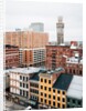 View of the Bromo-Seltzer Tower and downtown Baltimore, Maryland, USA by Jon Bilous