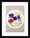 Anemones by Frances Buckland