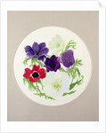 Anemones by Frances Buckland