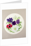 Anemones by Frances Buckland