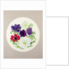 Anemones by Frances Buckland