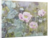 Pink poppies with bees by Rosalie Bullock