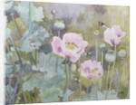 Pink poppies with bees by Rosalie Bullock