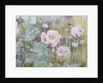 Pink poppies with bees by Rosalie Bullock