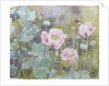 Pink poppies with bees by Rosalie Bullock