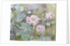 Pink poppies with bees by Rosalie Bullock
