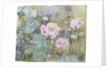 Pink poppies with bees by Rosalie Bullock