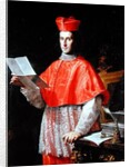 Cardinal Pietro Ottoboni, c.1700 by Francesco Trevisani