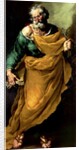 St. Peter by Francesco Fracanzano