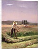 A peasant, mowing by Charles Emile Jacque