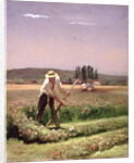 A peasant, mowing by Charles Emile Jacque