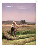 A peasant, mowing by Charles Emile Jacque
