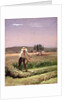 A peasant, mowing by Charles Emile Jacque